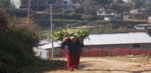 Woman carrying branches