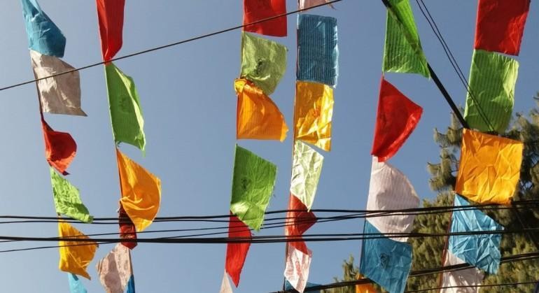 colourful flags